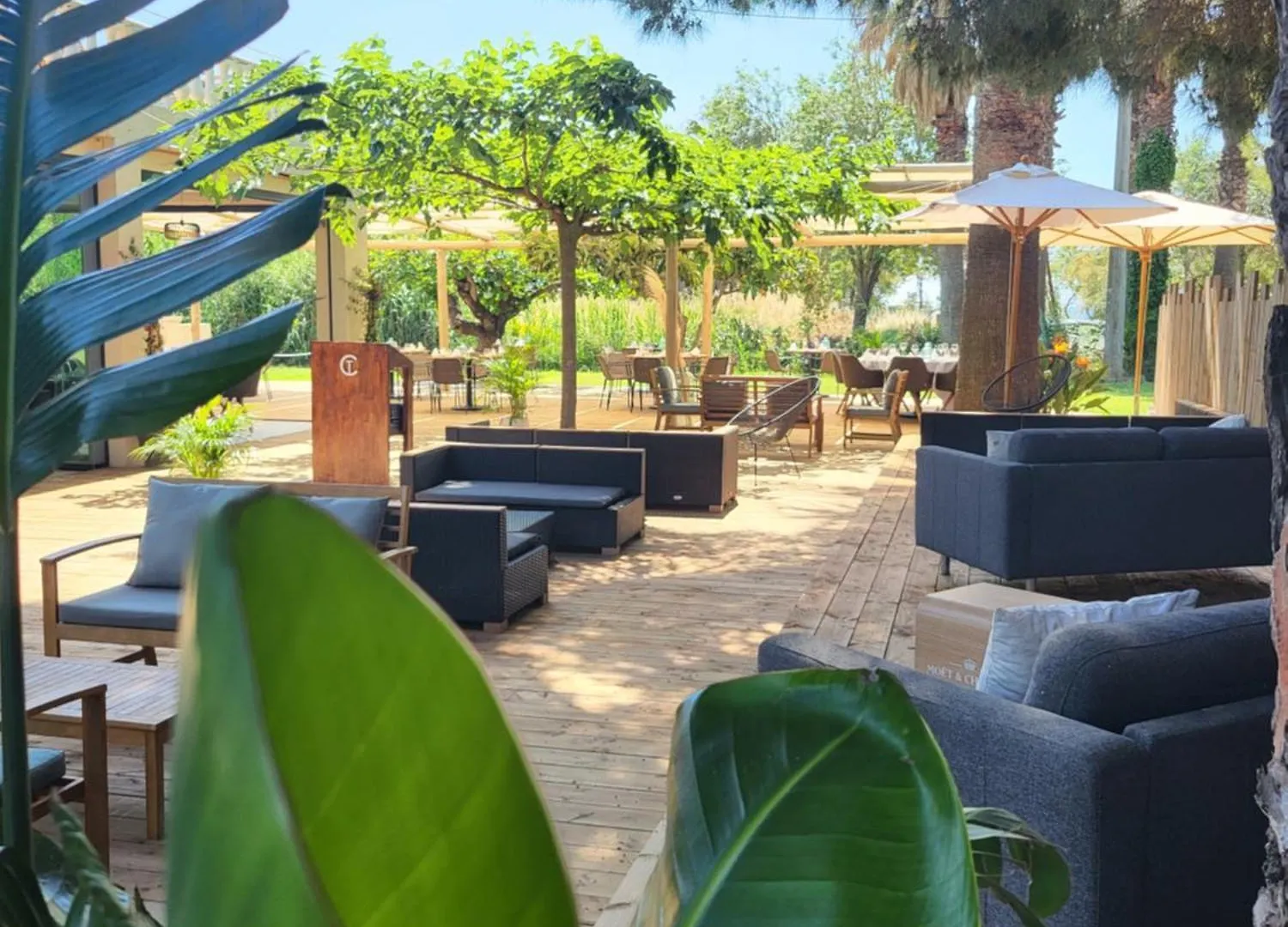 Hotel De La Mer Hyeres